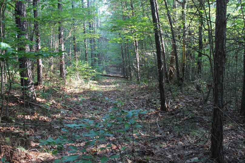 70 property line is well cleared