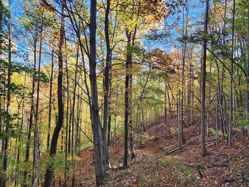 013 gorgeous fall colors along the trail system-2