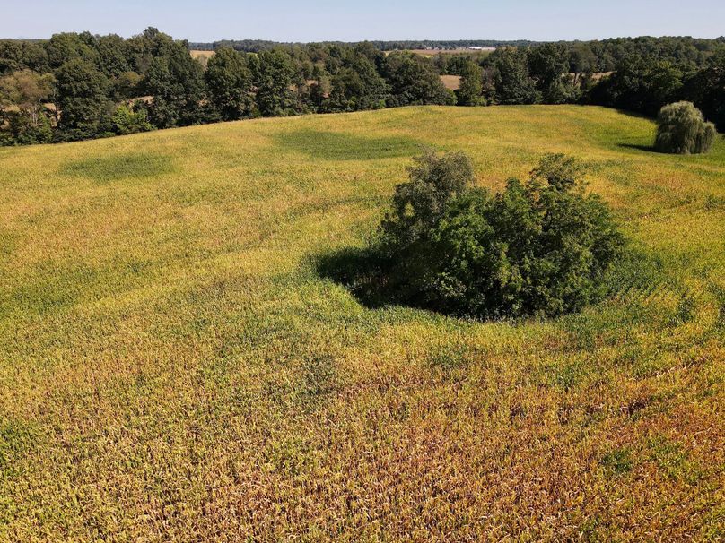 dji_fly_20230913_114118_453_1694619702718_photo