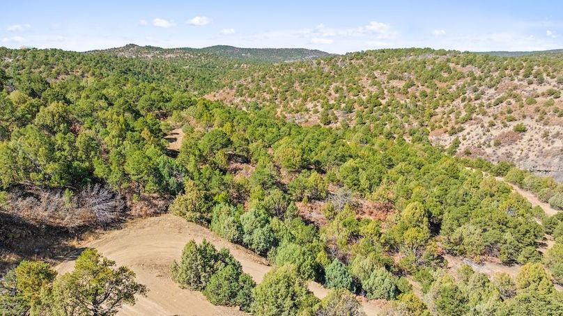 DJI_20260326121018_0439_D_1