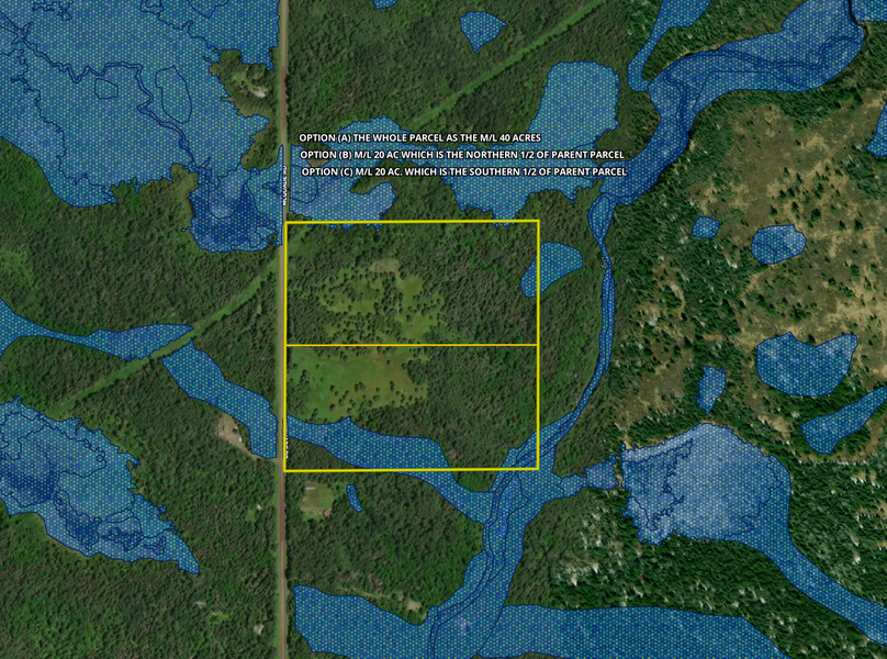 Options A,B,C wetland layer