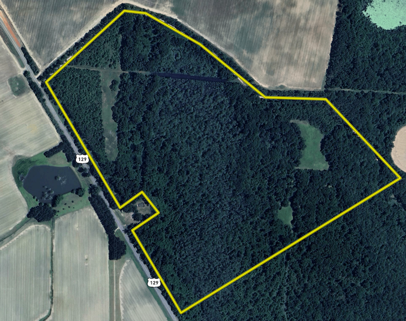 Screenshot 2025-09-04 at 3.03.39 PM