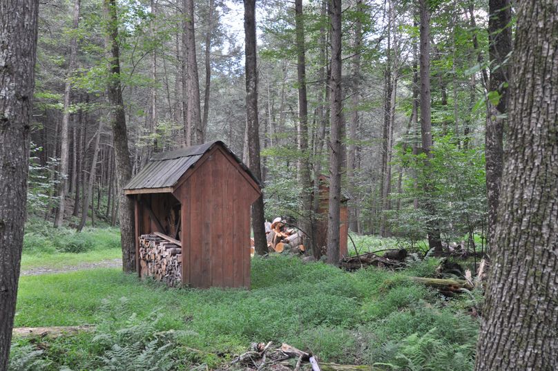 Wood shed 3