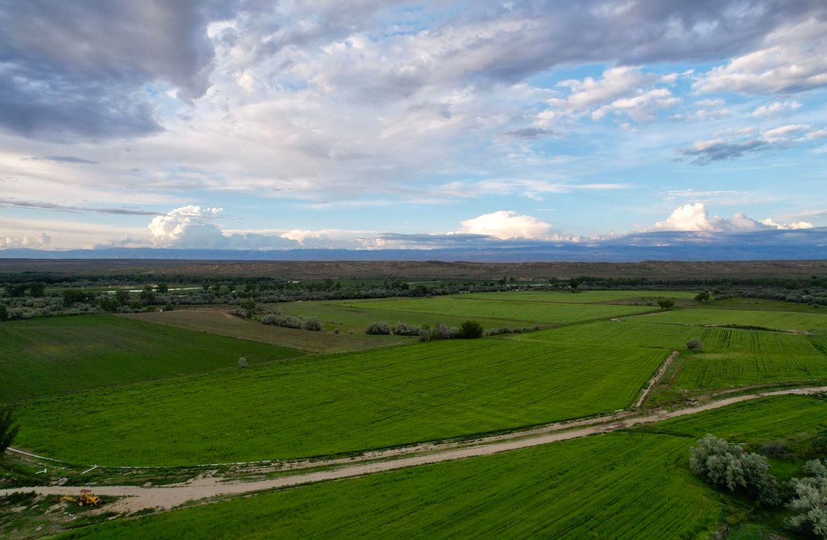 7A3435D5-634A-4508-A798-813BCF9C3B4D_1_105_c