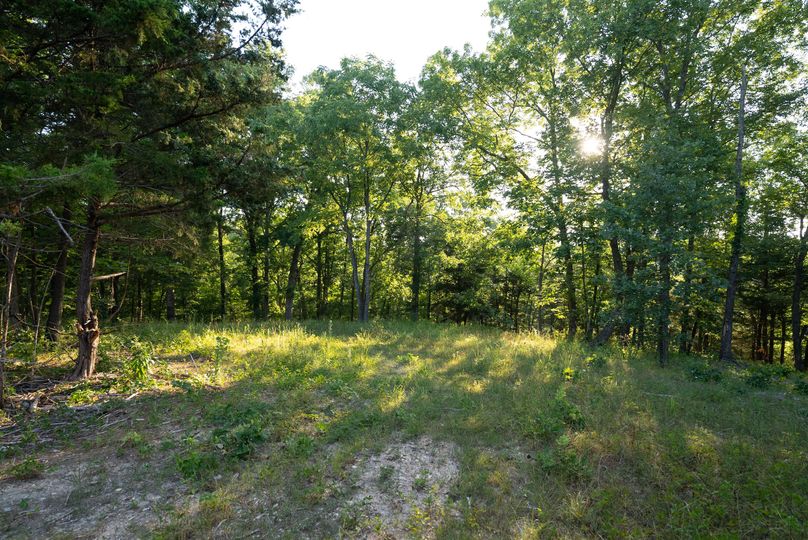 Webster MO 106 Featured_Pro Photo-63