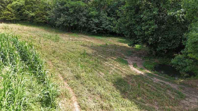 DJI_20250713151913_0560_D