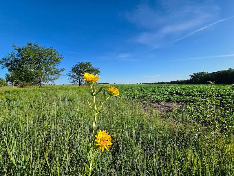 Copy of 20250729_081101