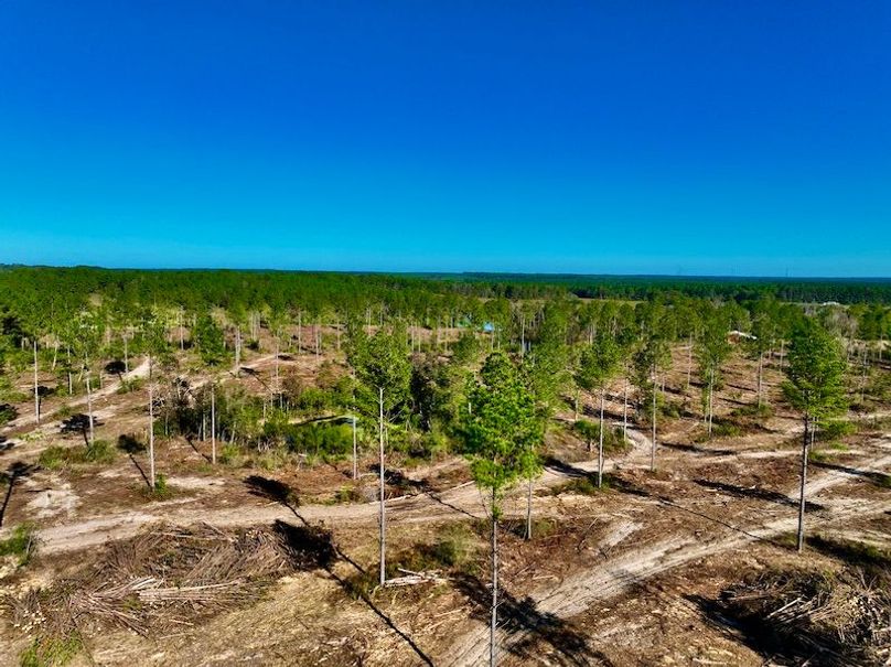 CBBCC706-C59D-4E1E-A3B7-AE430AE5C480_1_201_a