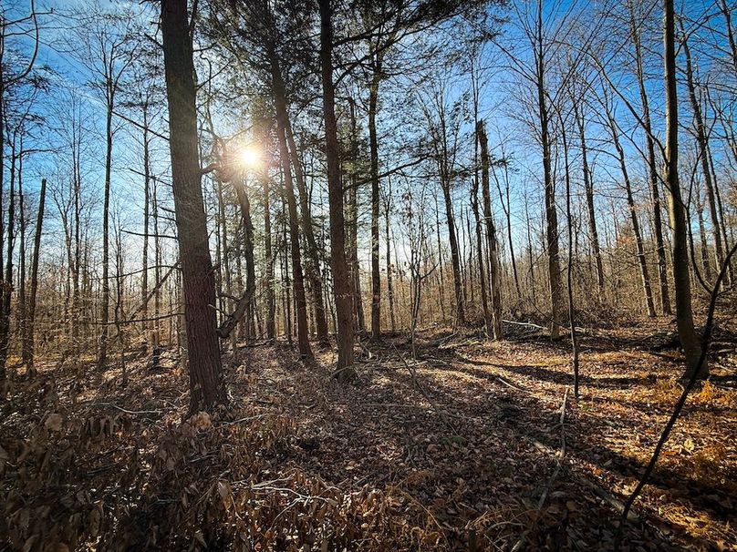 Chemung_31.75_Seymour_North_Photos_22