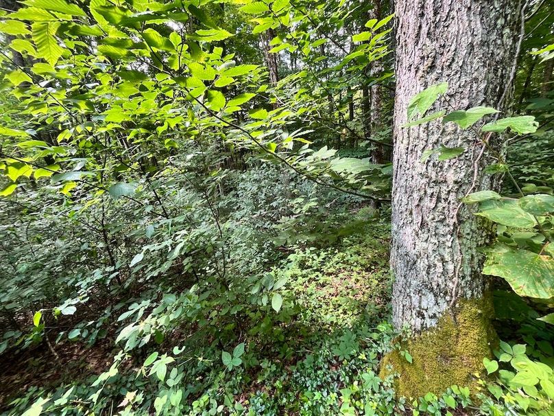 Oswego_133.72_Middleton_Photos_53