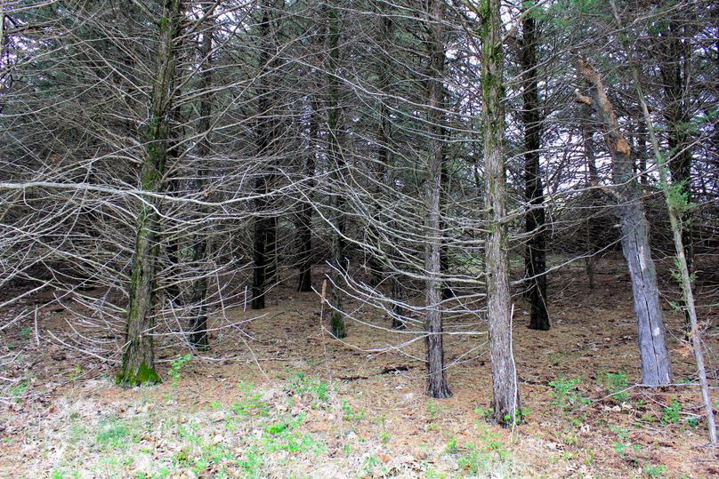 Washington, Co, 83.3_024