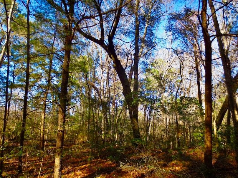 D370A95C-54DA-4708-B509-D8C73BA0DC32_1_105_c