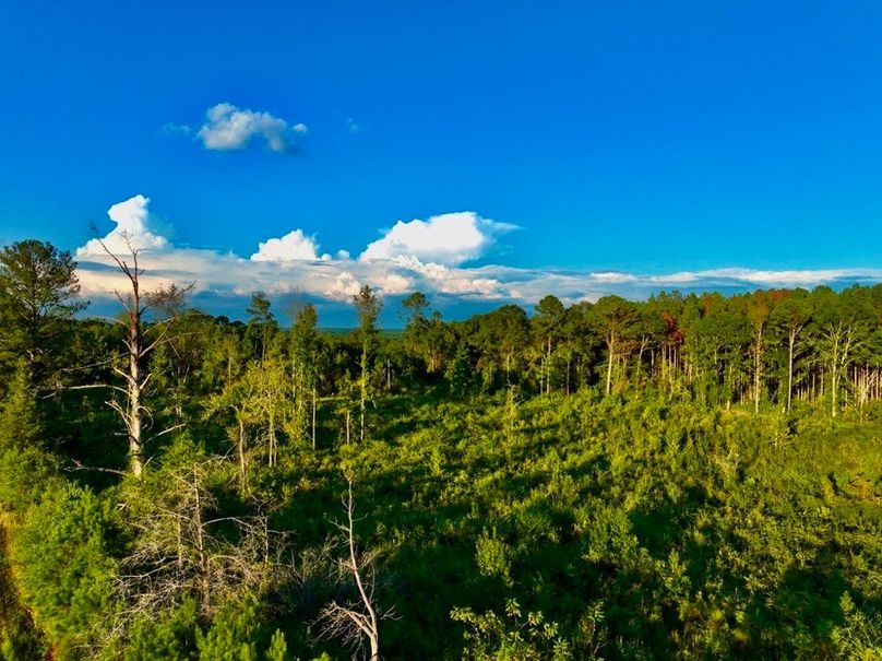 BEB98287-2BE5-43CB-8180-264B0B305241_1_105_c-2