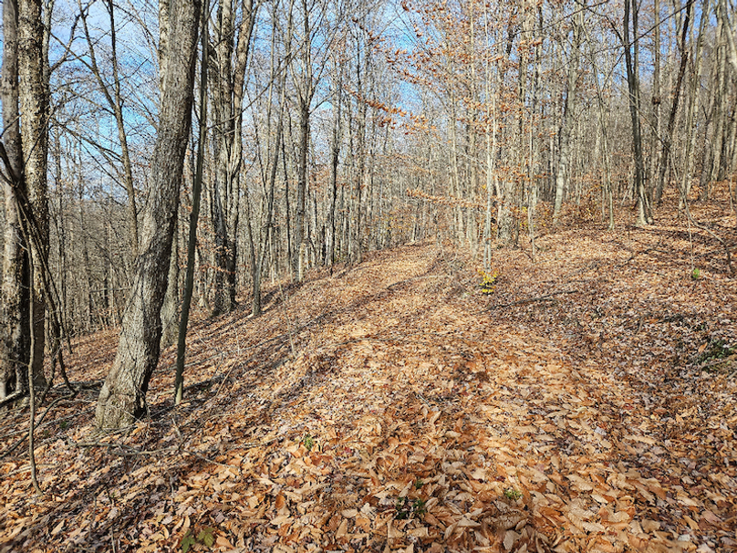 photo_326fbb24-1caf-453f-8293-8cf93fbea7ac