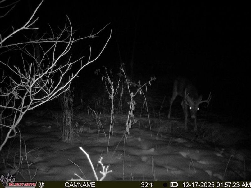 A0DE68F4-FC31-4CB0-BE04-C1C0DA4E3806