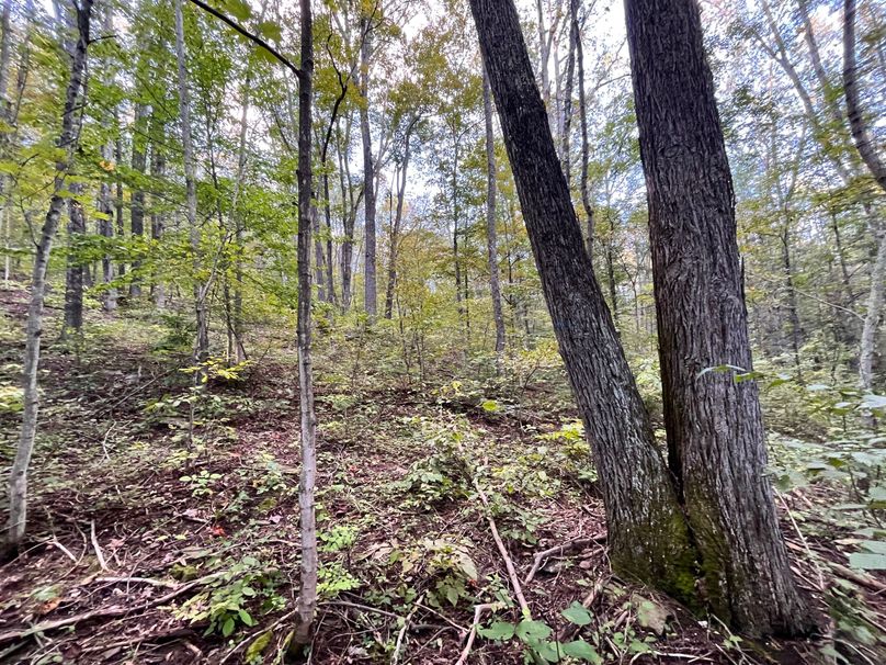 Tioga_20_Peters Photo 24