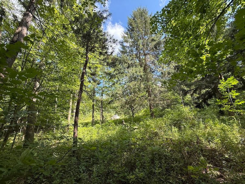 Ontario_2.7_Proseus Photo 21