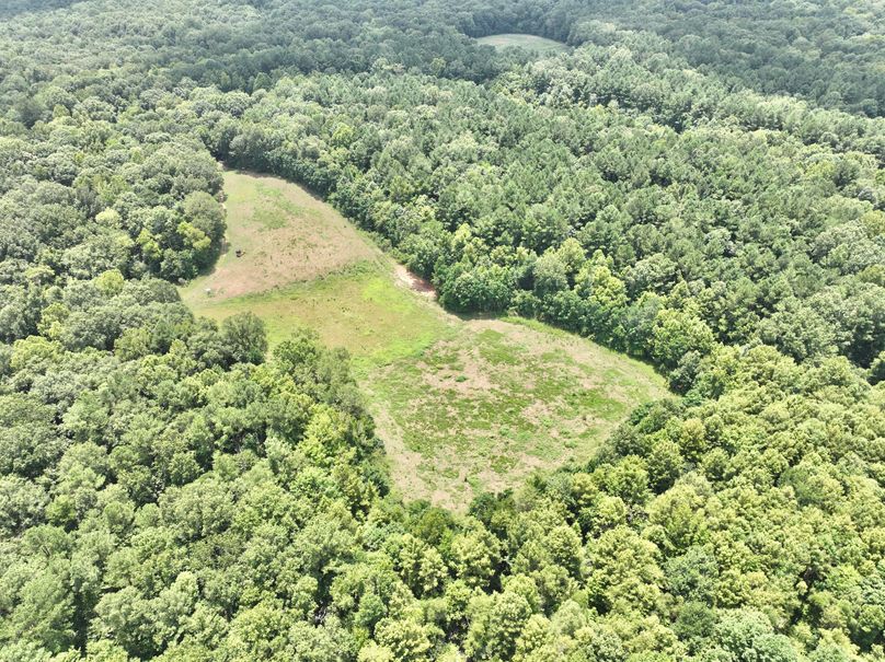 dji_fly_20230731_132520_444_1690845694492_photo