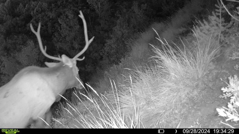 016578000756376-23-3-09282024193429-SYFW00197