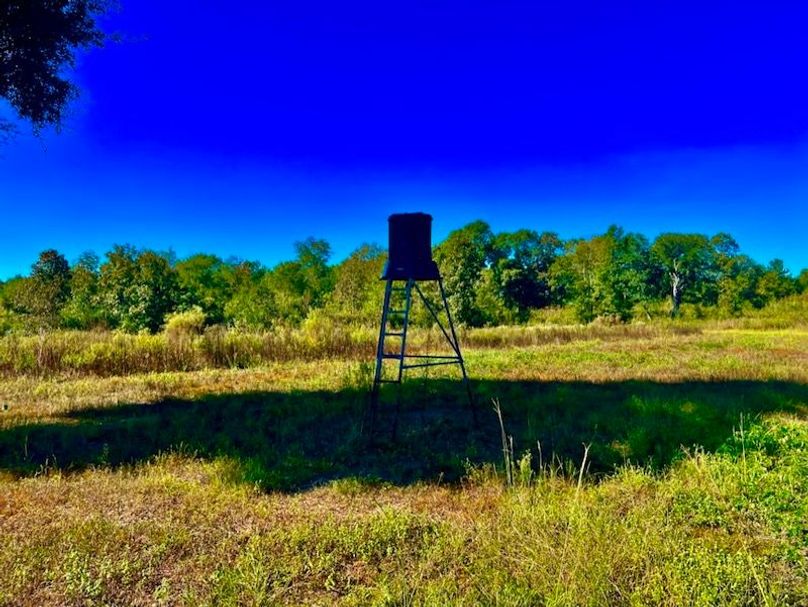 E619C47C-74FD-497E-AB34-AD88D6753CF6_1_105_c