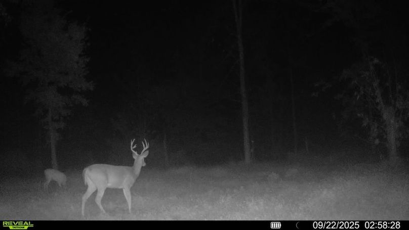 016578004352834-92-3-09222025025828-SYFW00220