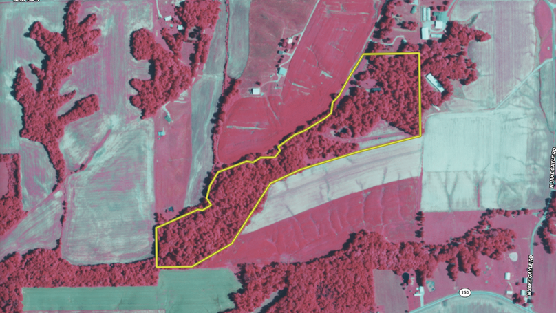 Screenshot 2026-02-09 215646