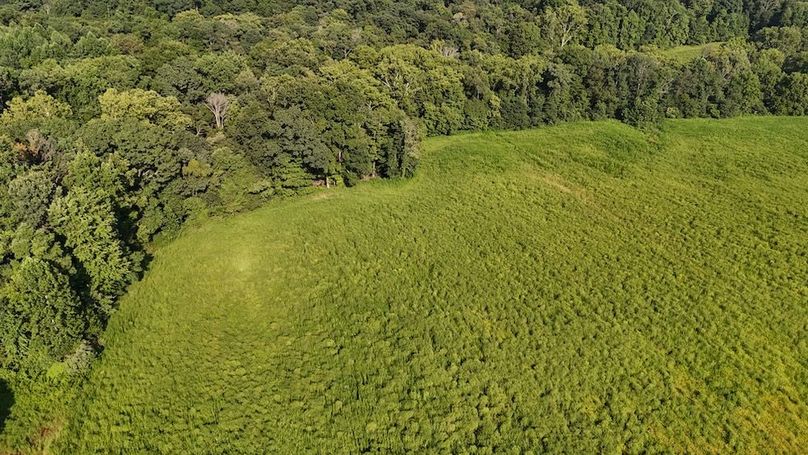 DJI_20250808181538_0802_D