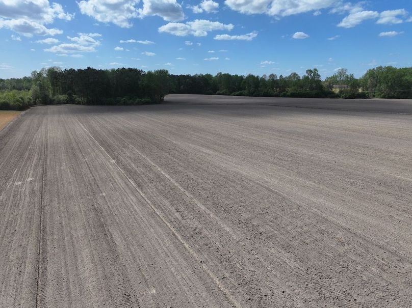 dji_fly_20260315_120804_0524_1775758694053_photo