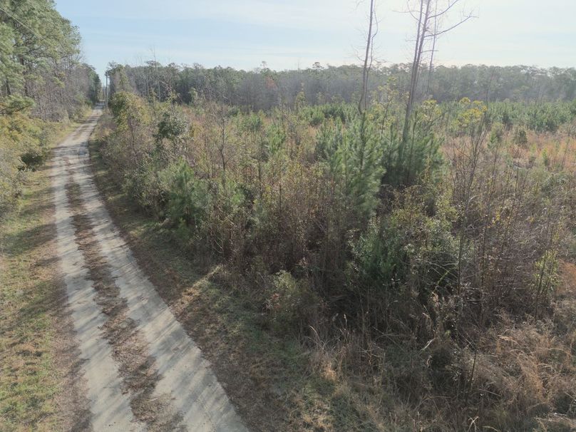 DJI_20240227082403_0002_craven60