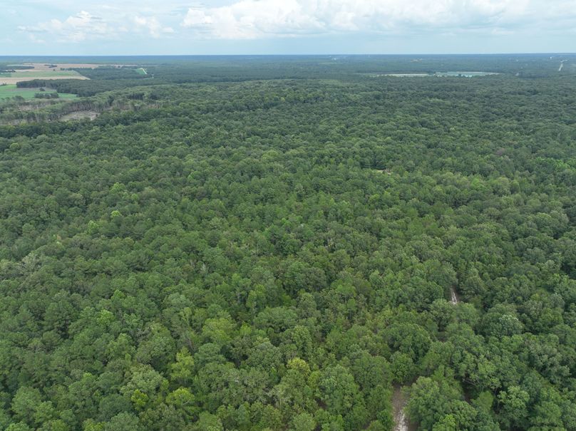 dji_fly_20230727_170044_385_1690507717134_photo 2