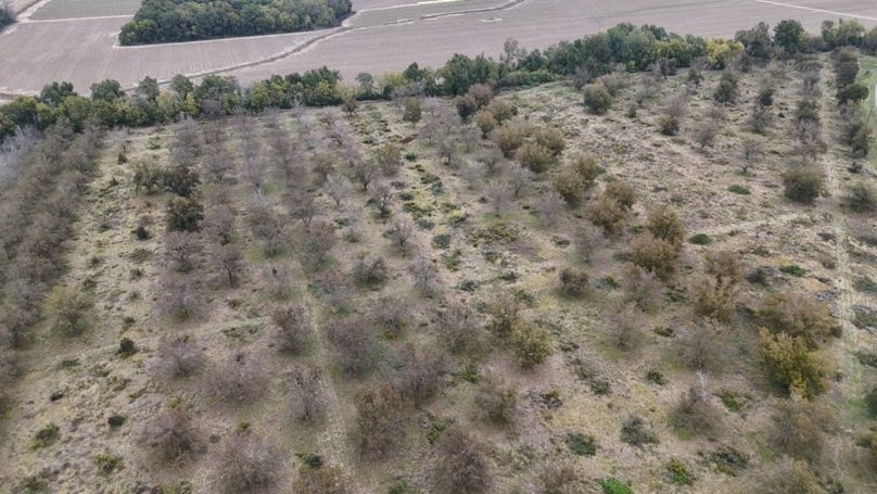 dji_fly_20251107_043016_0028_1762484048644_photo