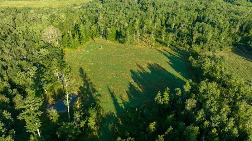 Cass MN 1095 Featured ProPhoto-85