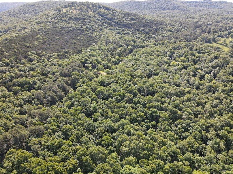 dji_fly_20260514_092658_774_1778768975181_photo