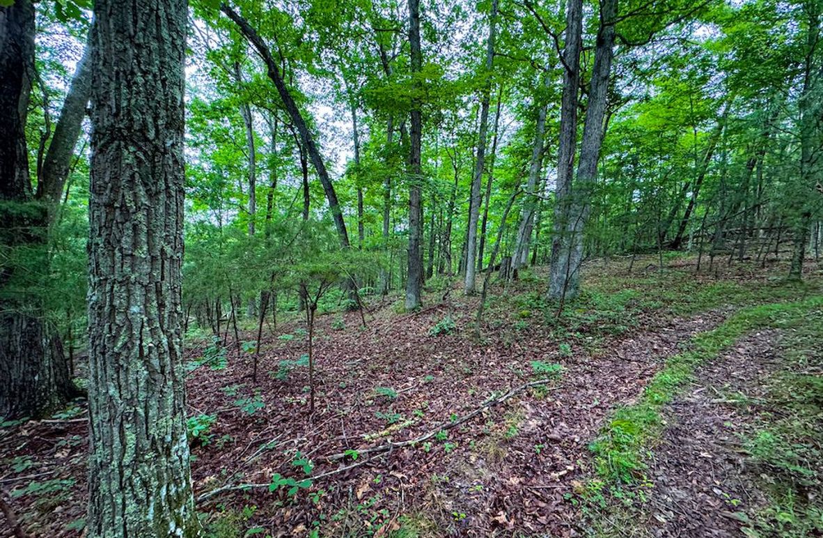 Wirt, WV 34.52 AC Goodman-56