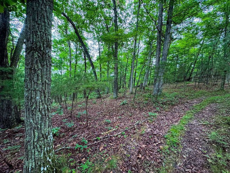 Wirt, WV 34.52 AC Goodman-56