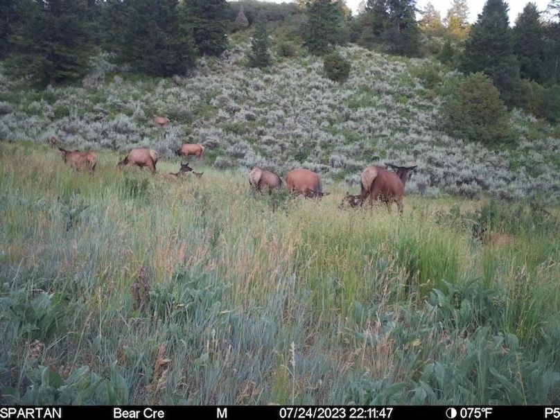 3C00FD50-3871-4552-B494-A872C599AFAB