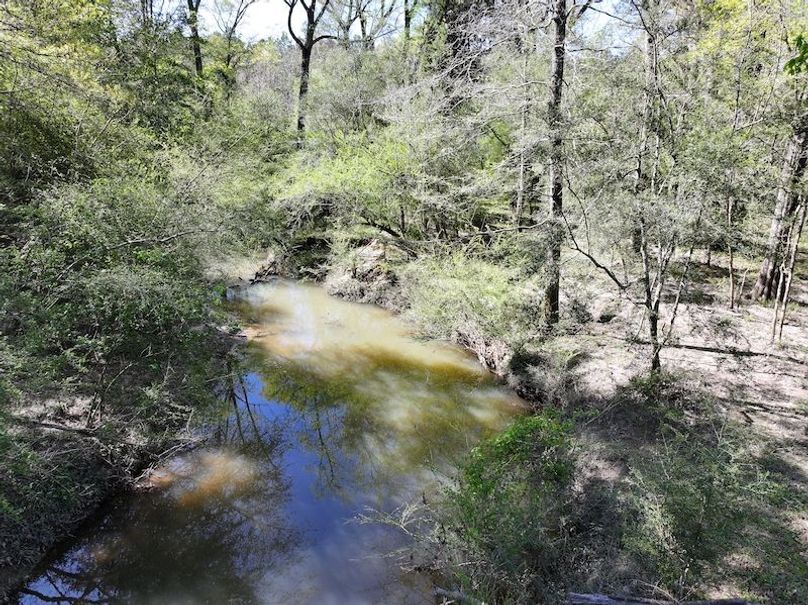 dji_fly_20260317_091158_0397_1773768879042_photo