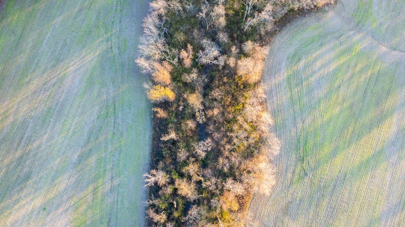 Copy of DJI_20241129074006_0008_D