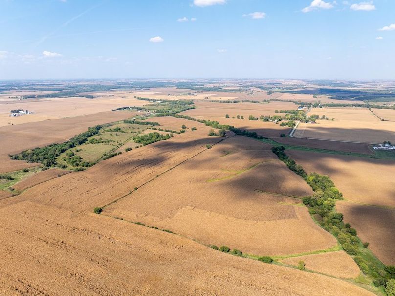 Copy of Whiteside 181_19