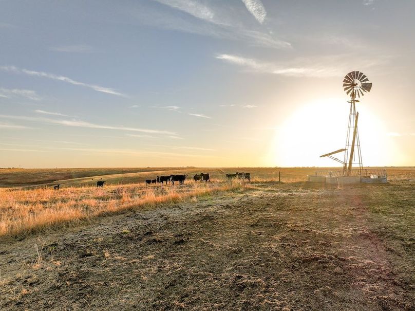 Copy of 1 Western Sky Farms, LLC-03