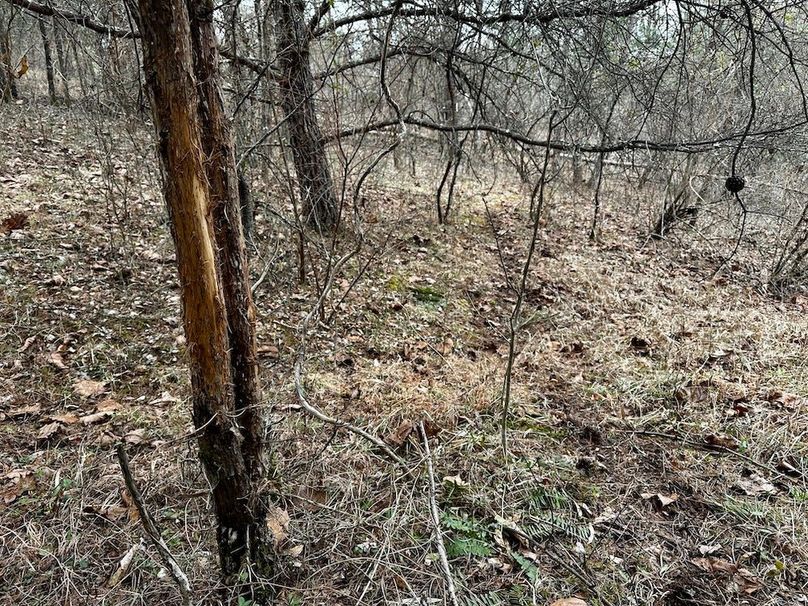 IMG_6922