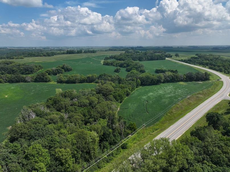 Olmsted 42.63 New-11