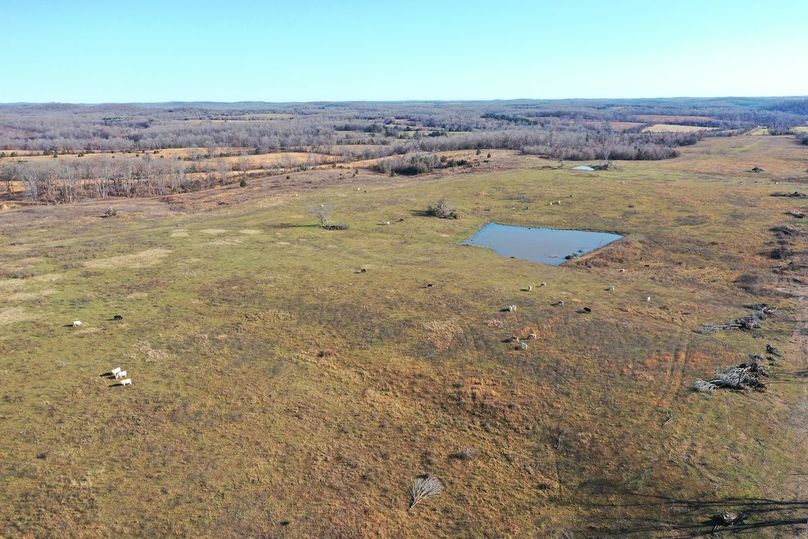 DJI_0482