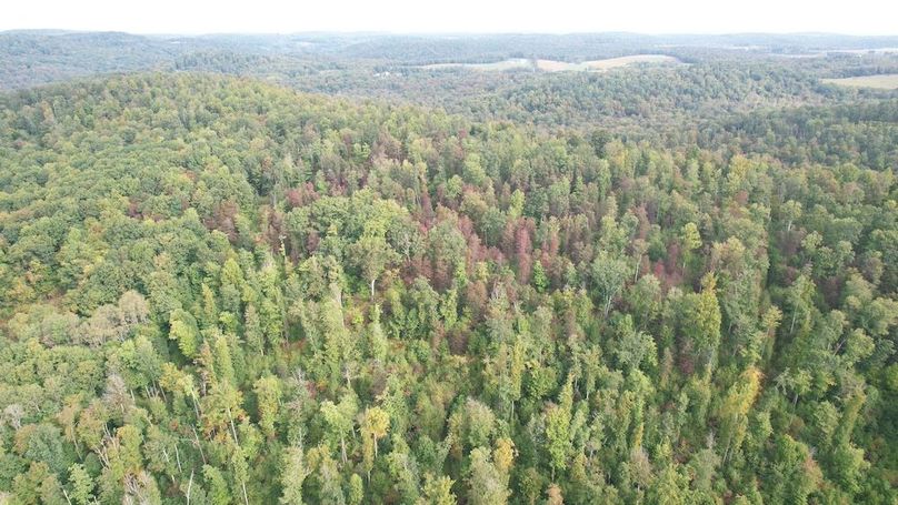 dji_fly_20240919_101028_686_1726755205256_photo