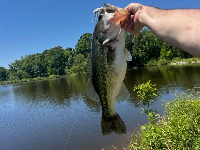 9339A356-B274-49B2-B63D-B324E5342FDA