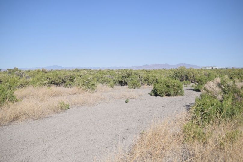 Copy of Copy of DSC_0103