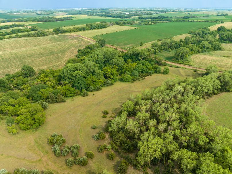20230616-DJI_0386