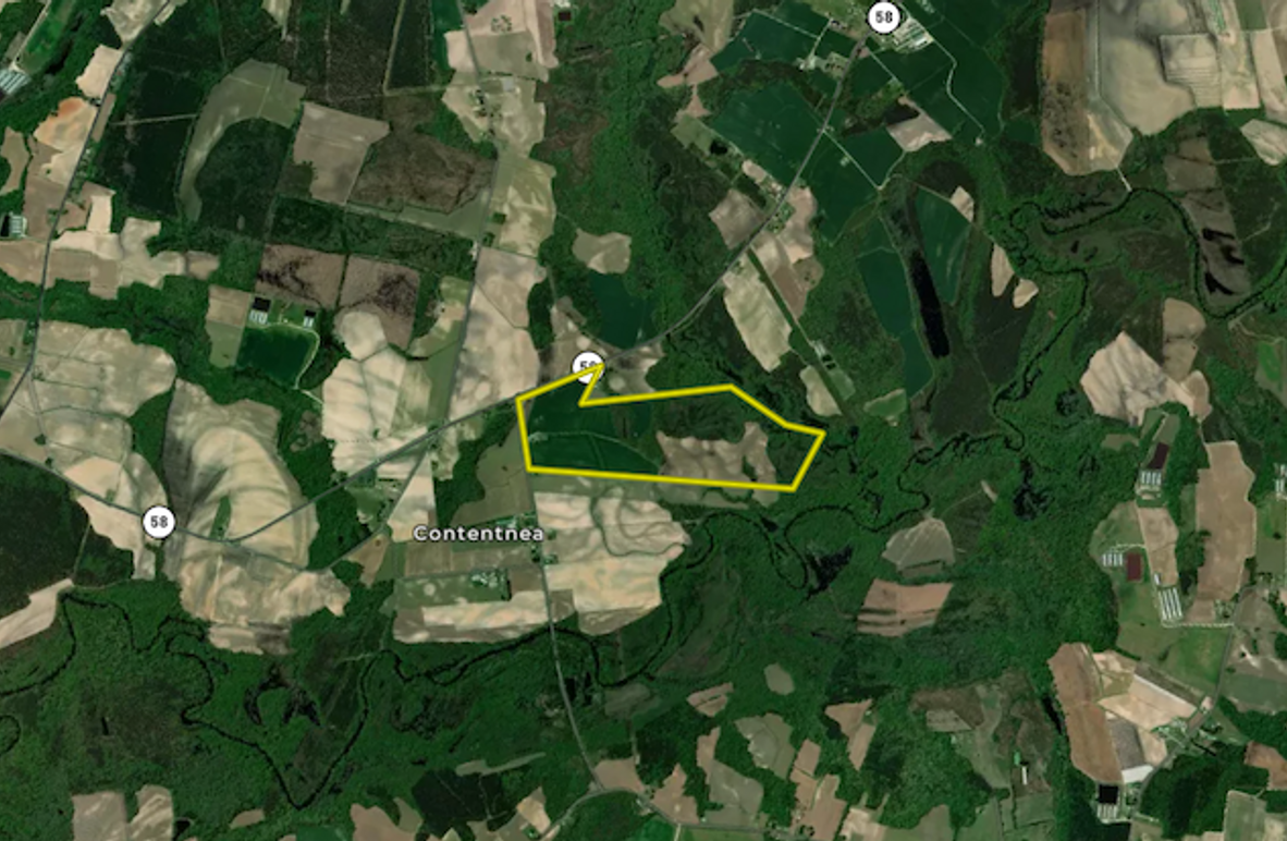 Screenshot 2025-03-10 085819