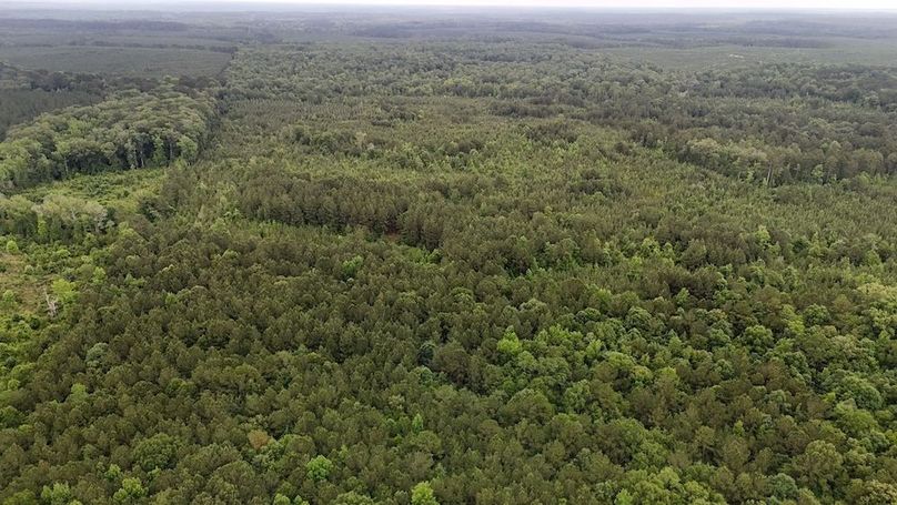 Copy of DJI_20250529223528_0535_D