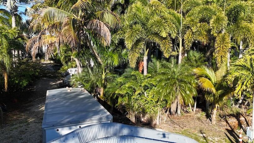 DJI_20260206091322_0262_D